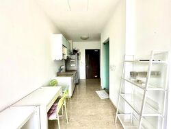 Suites @ Eastcoast (D15), Condominium #460246341